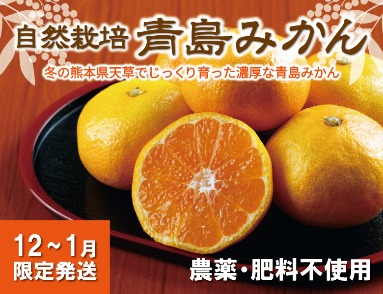 青島みかん 無農薬 無肥料の熊本県天草産自然栽培青島みかん 熊本で無農薬 自然栽培果物に挑戦 自然果樹園