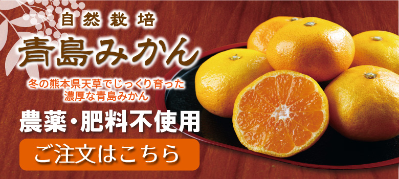 青島みかん 無農薬 無肥料の熊本県天草産自然栽培青島みかん 熊本で無農薬 自然栽培果物に挑戦 自然果樹園