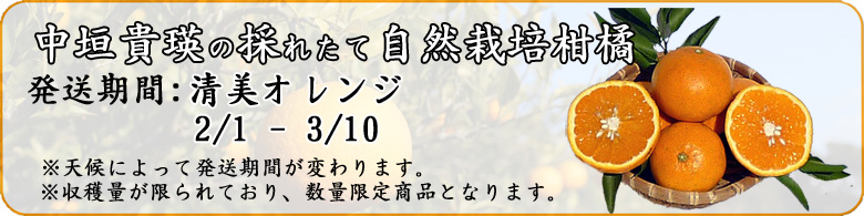 自然栽培清美オレンジ