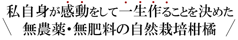 柑橘
