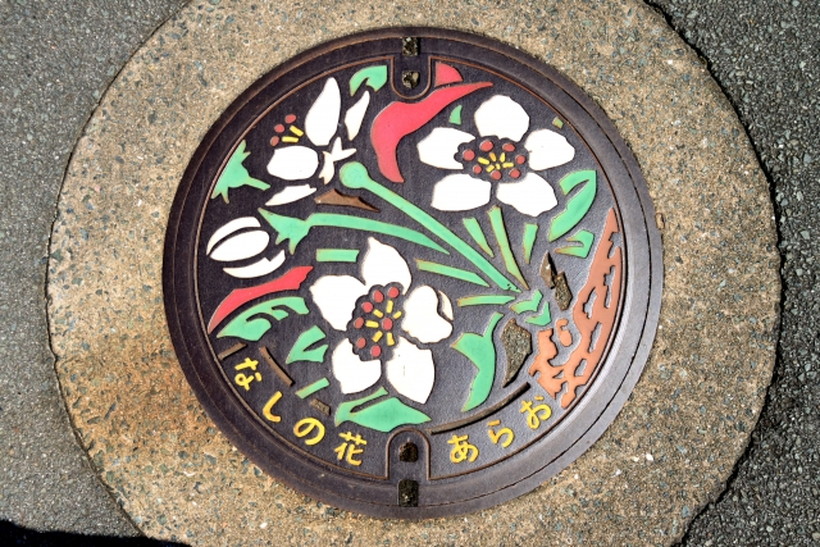 荒尾梨は大きい品種の仲間 ギネス記録は新生児並み 熊本で無農薬 自然栽培果物に挑戦 自然果樹園