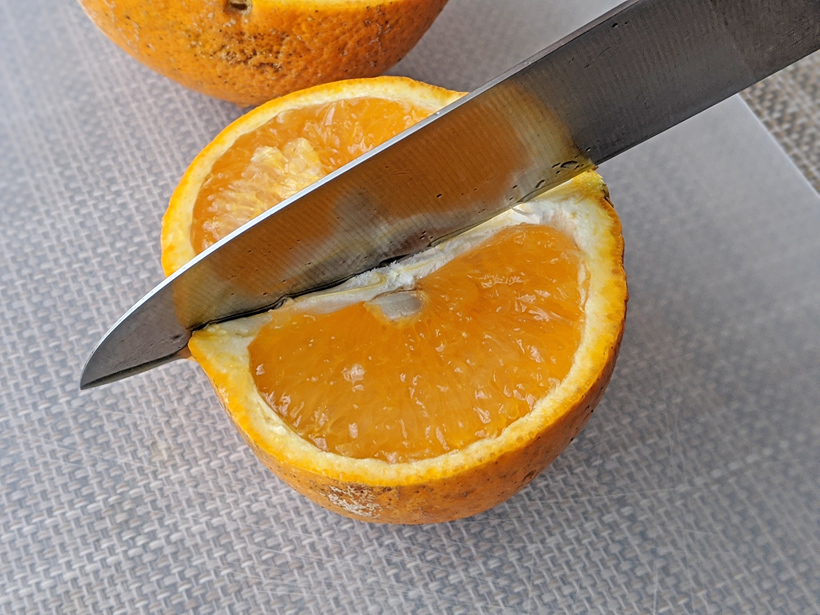 自然栽培清美オレンジのカット