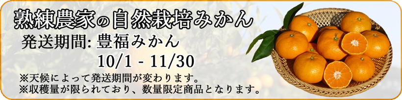 豊福みかんバナー