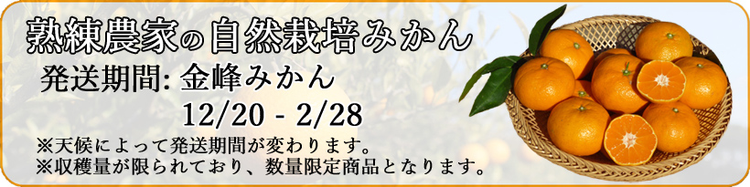 金峰みかん発送時期