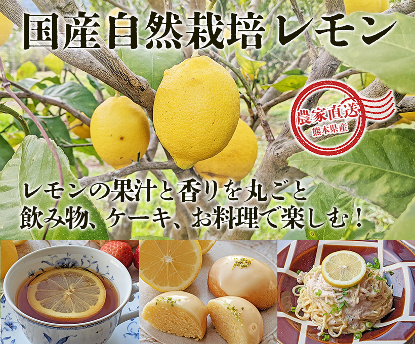 自然栽培レモン