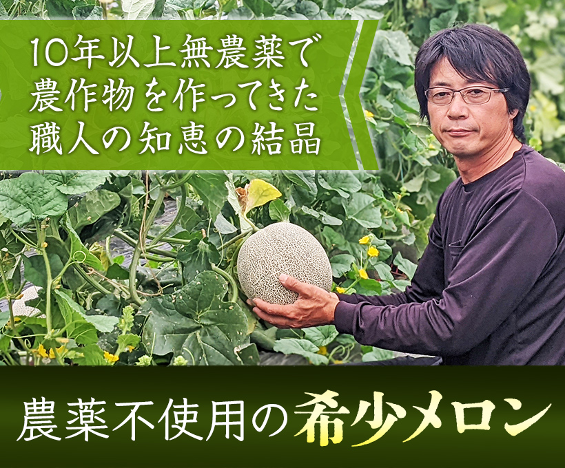 農薬不使用の希少メロン