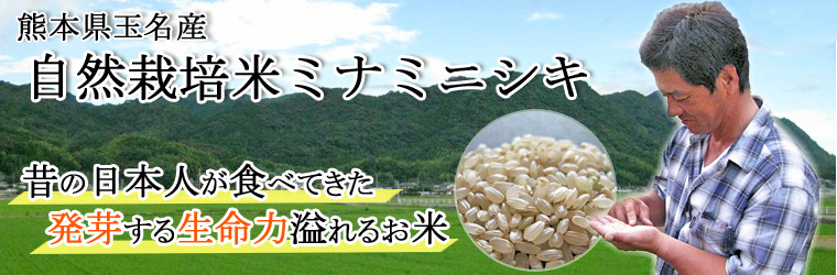 ミナミニシキ自然栽培米サイト