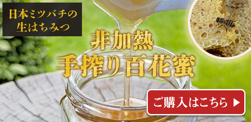 日本ミツバチの生はちみつはこちら