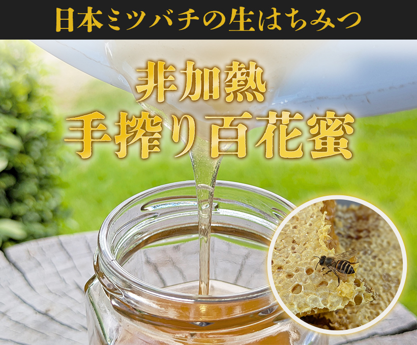 日本ミツバチの生はちみつ