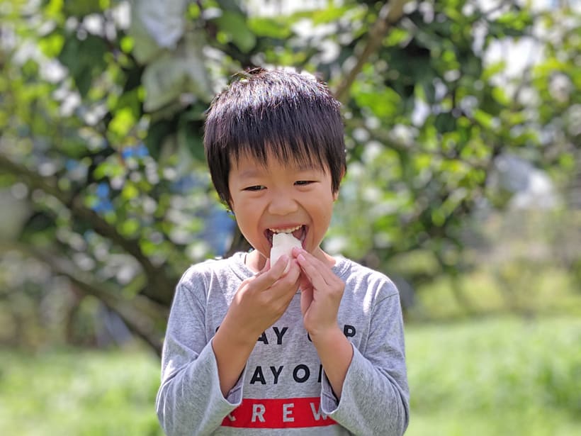 子どもが荒尾梨(成生梨)を食べる