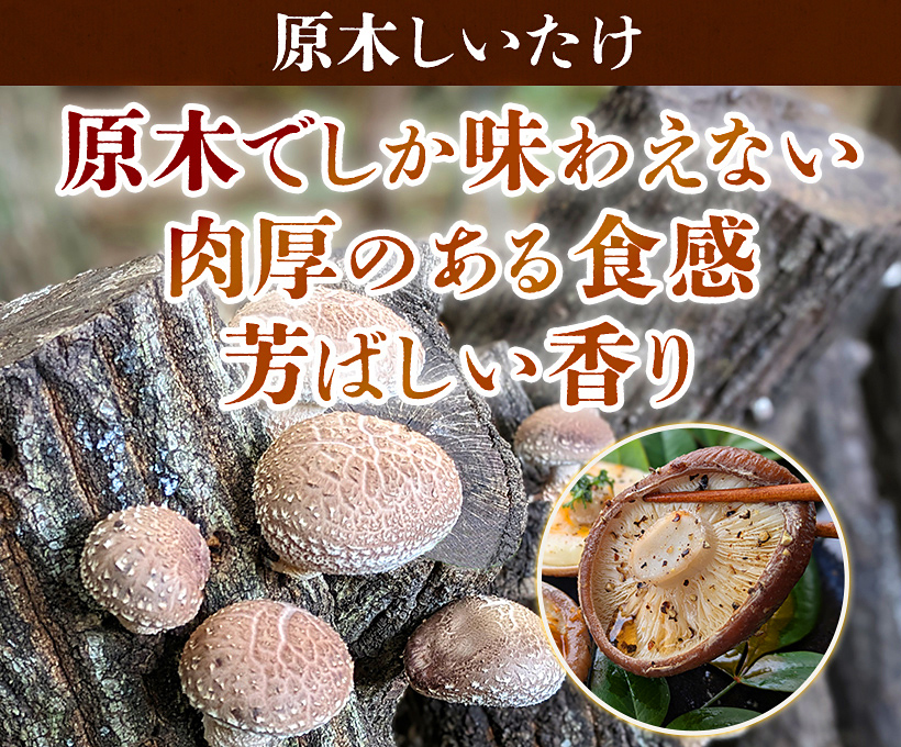 原木しいたけ