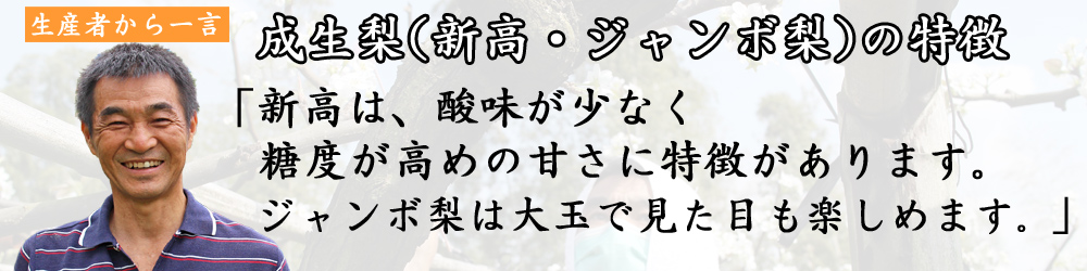 新高の特徴