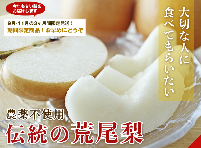 荒尾梨トップ