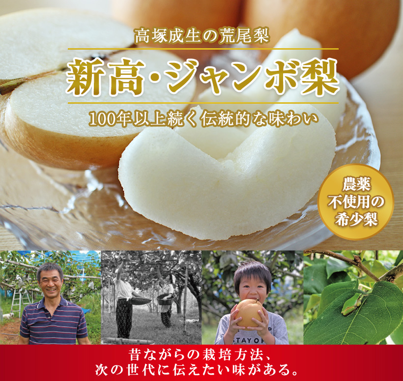 新高トップ