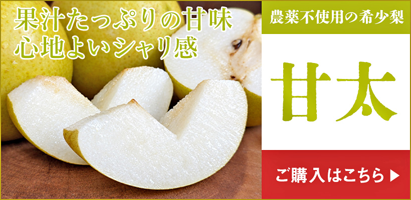 甘太梨はこちら
